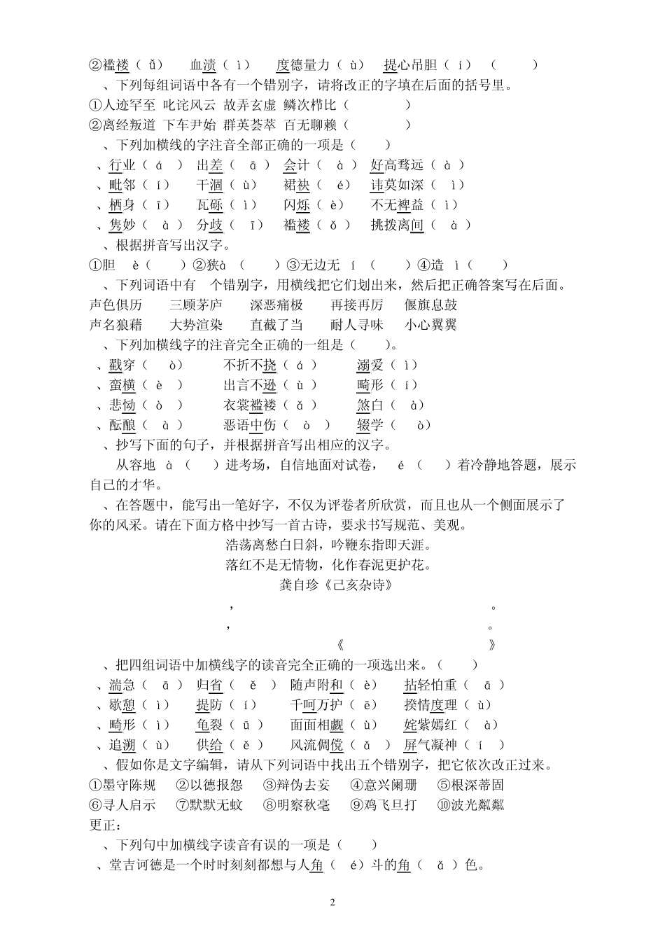 中考语文字词专题训练_第2页