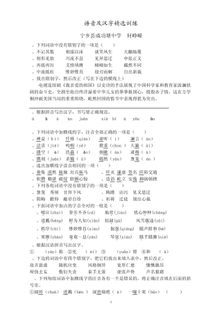 中考语文字词专题训练