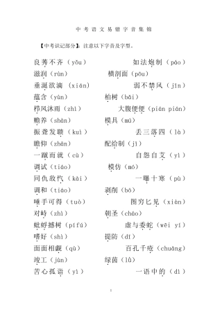 中考语文易错字音集锦