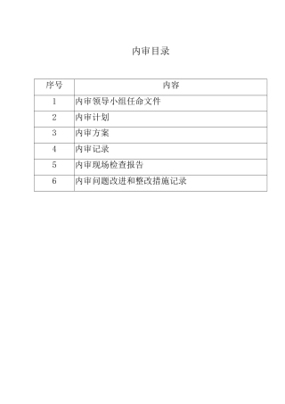 药品经营公司专项内审