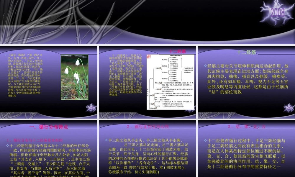 浅析《灵枢》经筋理论