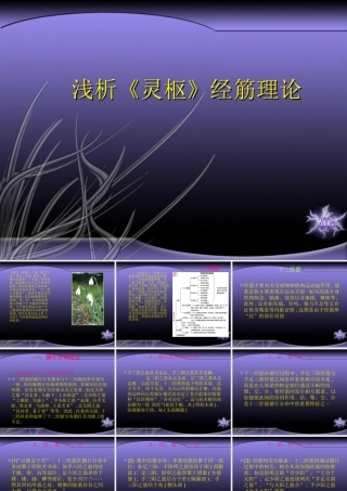浅析《灵枢》经筋理论