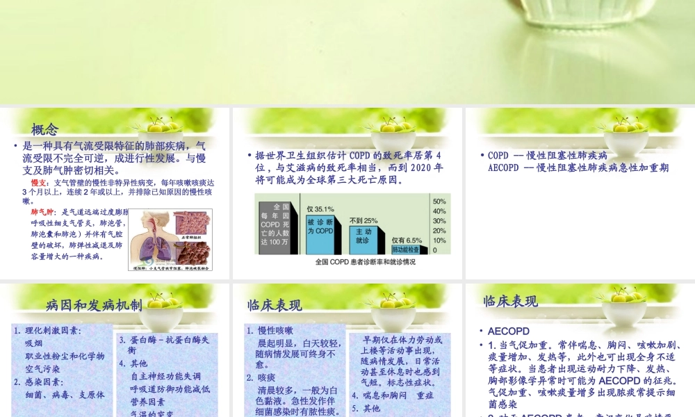 (新)COPD病人的护理课件