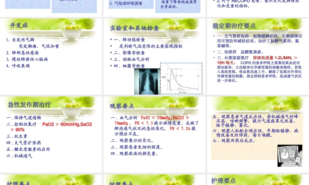 (新)COPD病人的护理课件