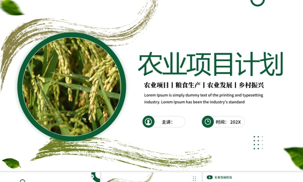 农业项目计划