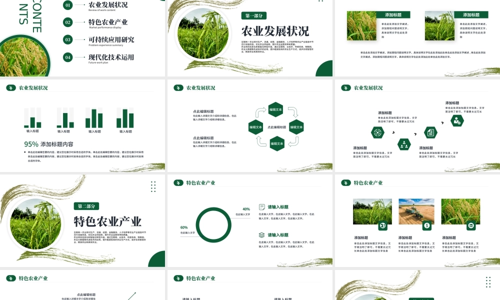 农业项目计划