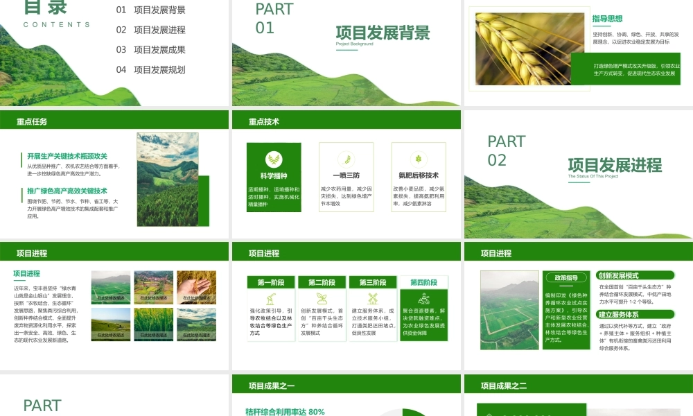 农业项目汇报模板