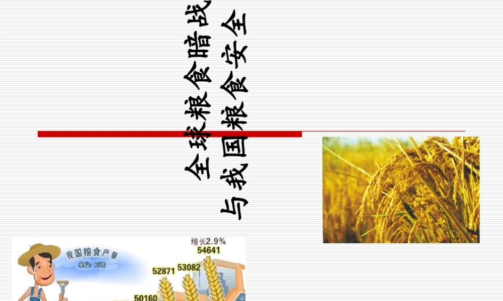 中国的粮食安全讲座