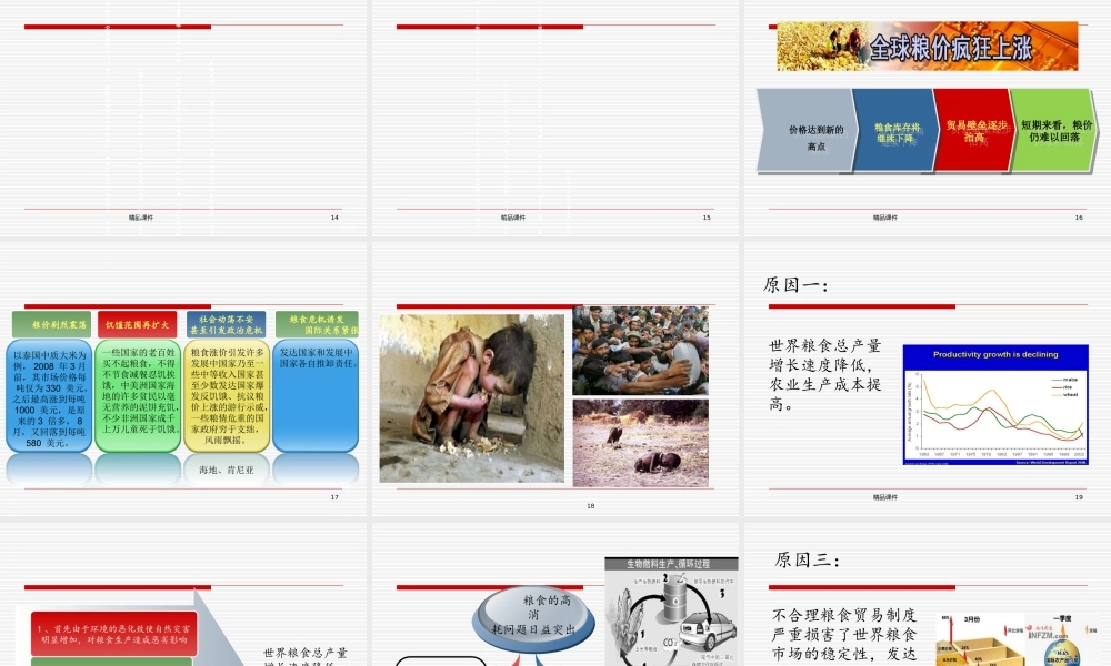 中国的粮食安全讲座
