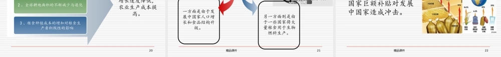 中国的粮食安全讲座