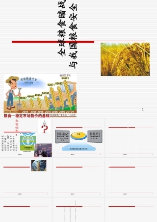 中国的粮食安全讲座