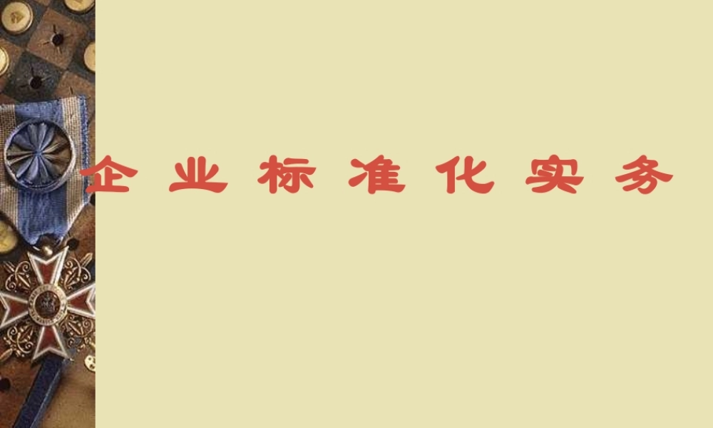 企业标准化实务