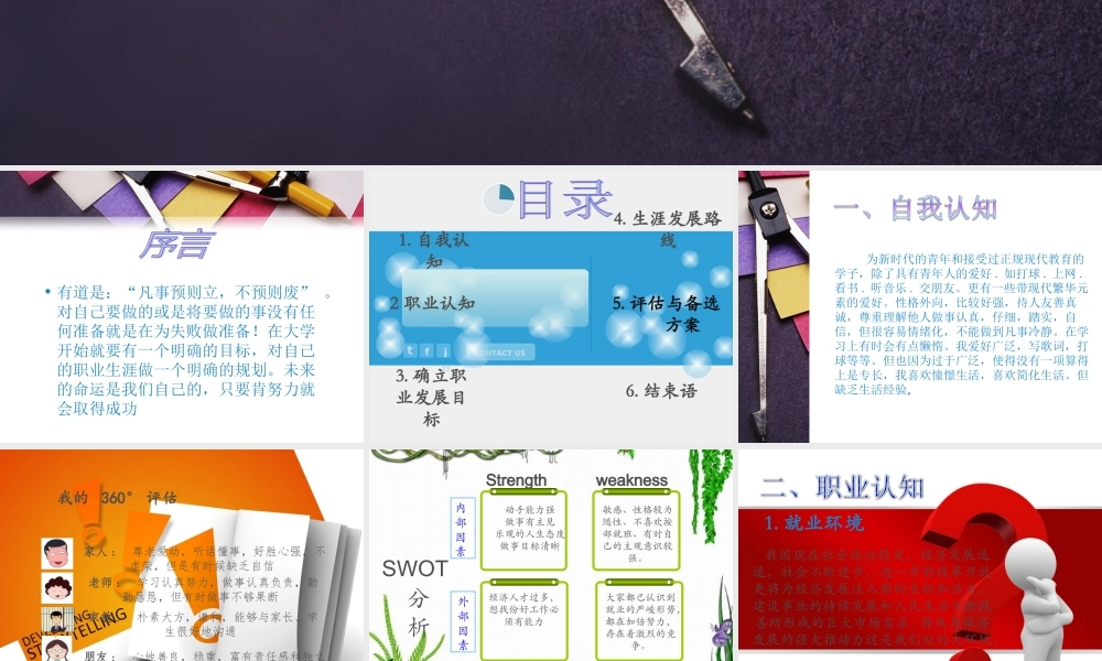 大学生职业规划完整版