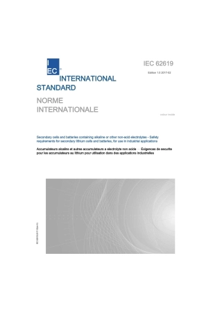 IEC 62619-2017原版完整文件
