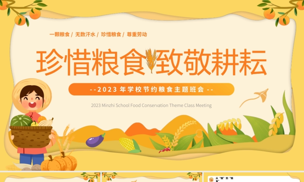 学校节约粮食主题班会