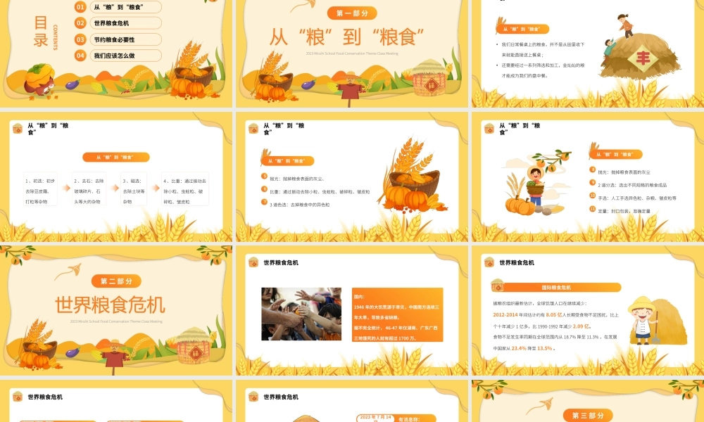 学校节约粮食主题班会