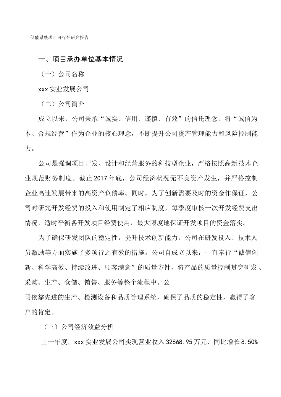 储能系统项目可行性研究报告_第3页