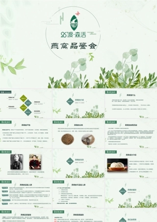 燕窝知识讲解燕窝品鉴会