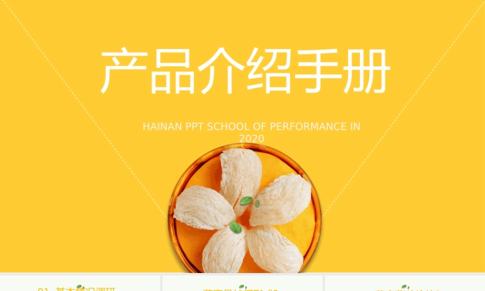 燕窝补品产品介绍手册