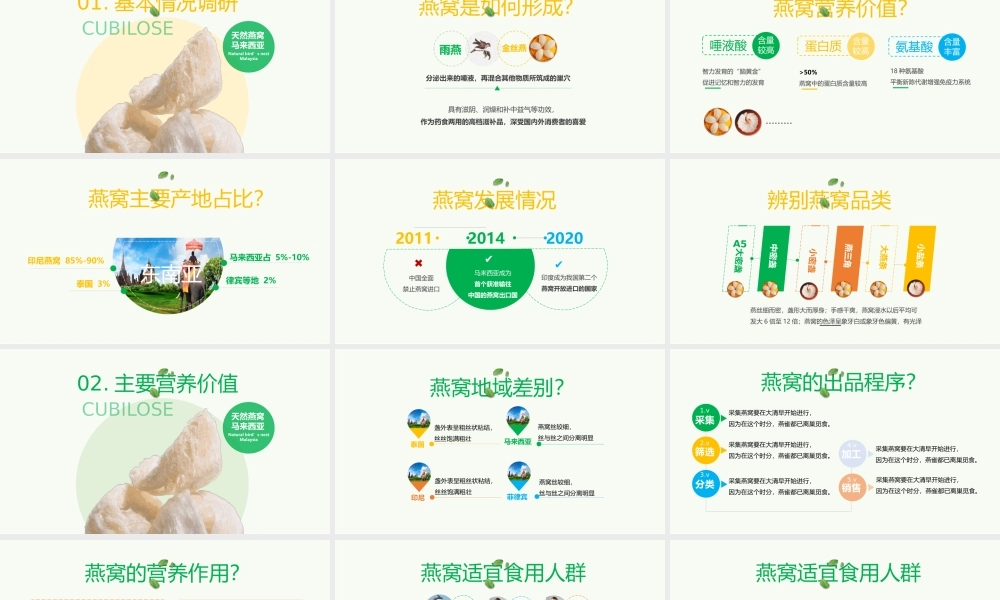燕窝补品产品介绍手册
