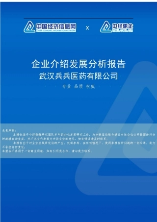 武汉兵兵医药有限公司介绍企业发展分析报告