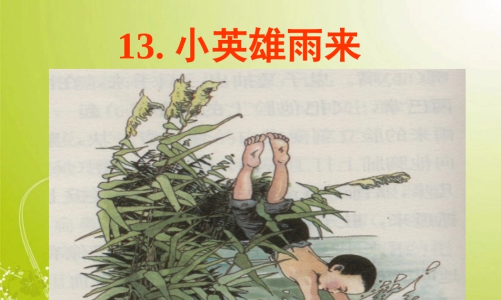 小英雄雨来课件完整