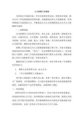 人力资源三年规划