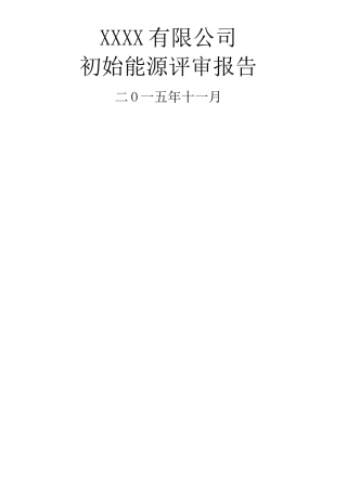 初始能源评审报告资料