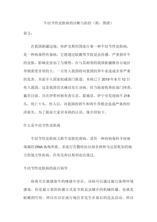 牛结节性皮肤病的诊断与防控