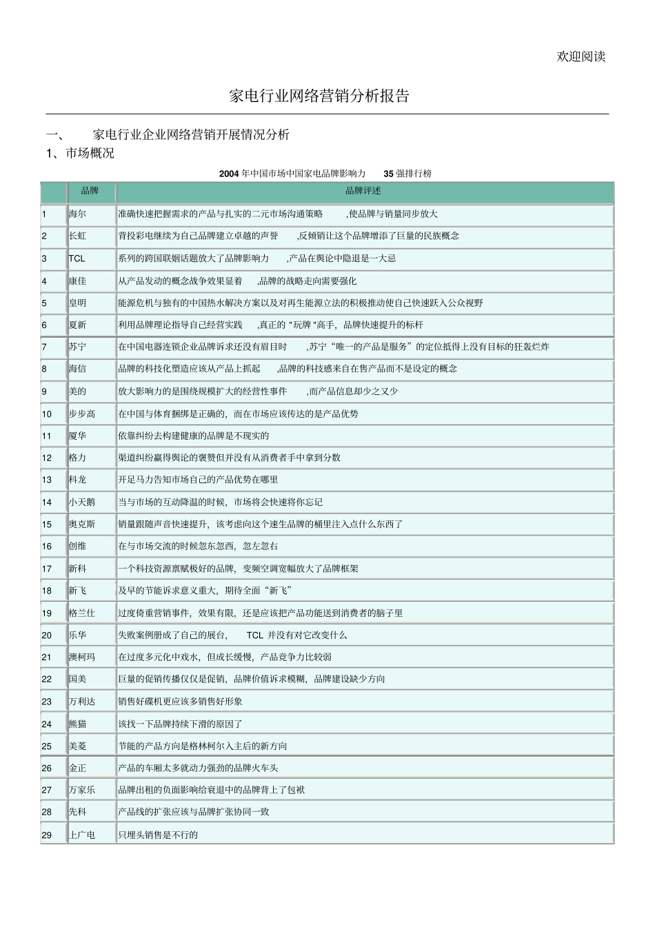 家电行业网络营销分析报告6_第1页