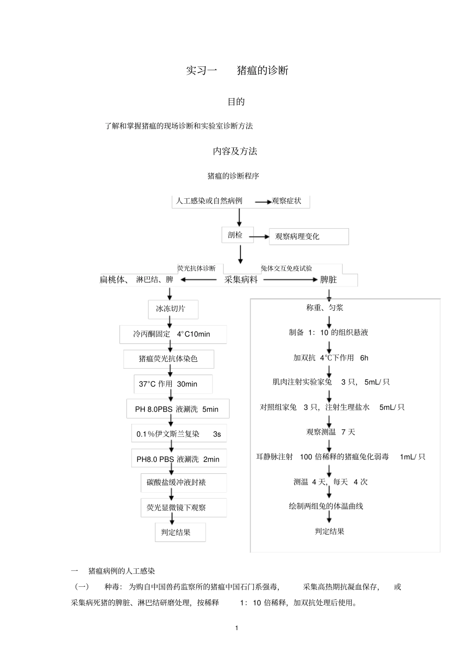 家畜传染病学教学实习方案_第1页