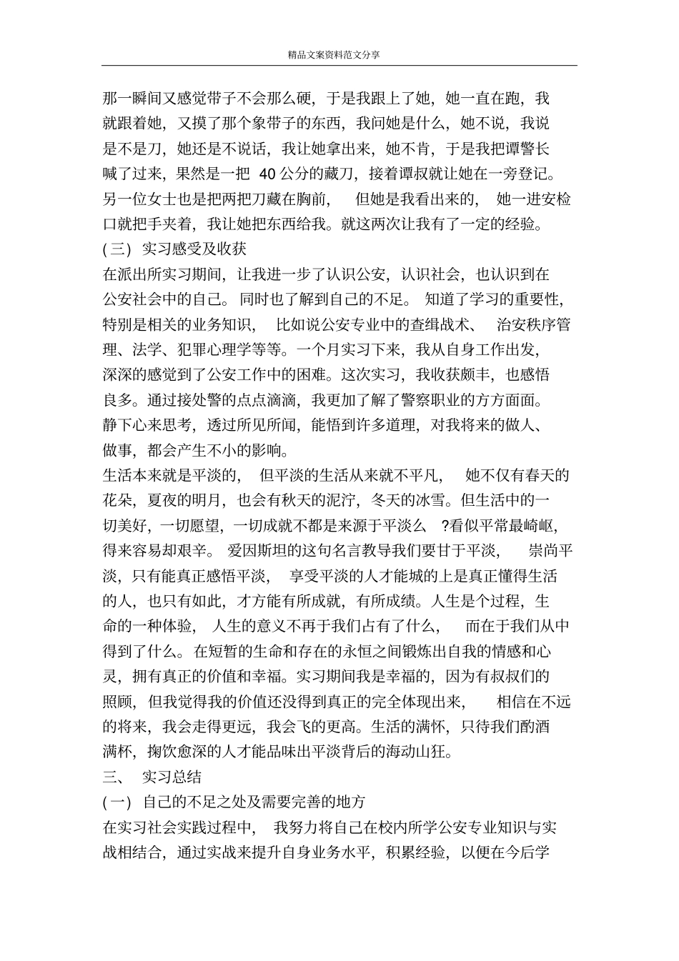 寒假派出所社会实践报告-精品文案范文_第3页