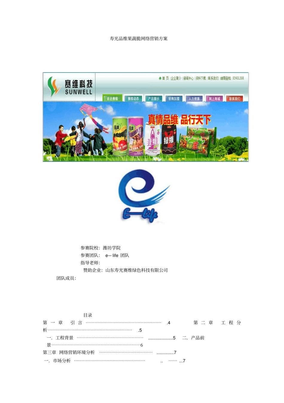 寿光品维果蔬脆网络营销方案_第1页