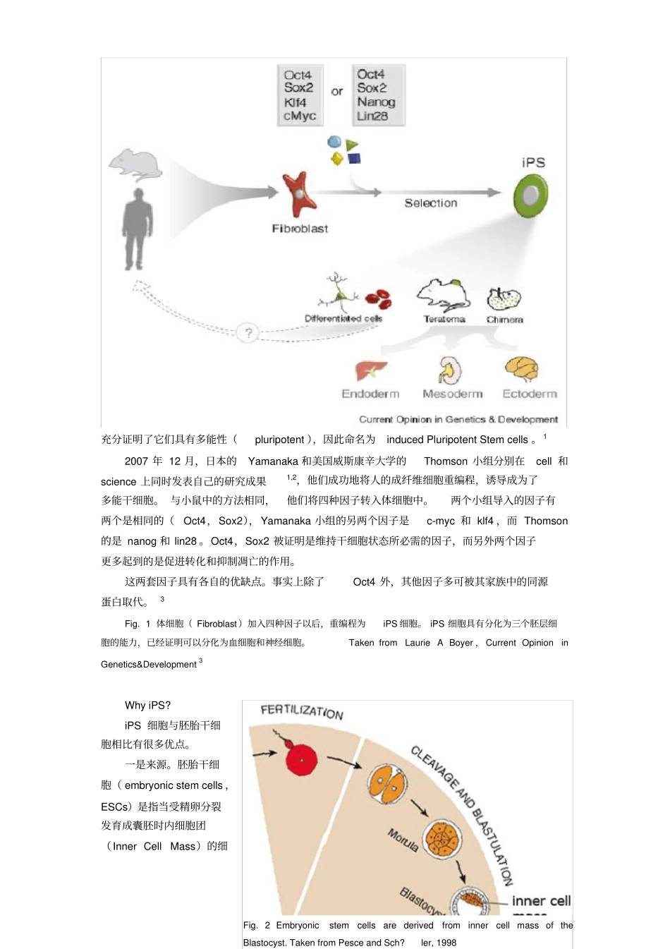 将iPS细胞定向分化为胰岛β细胞_第2页