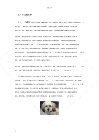 小动物疾病宠物诊治必备