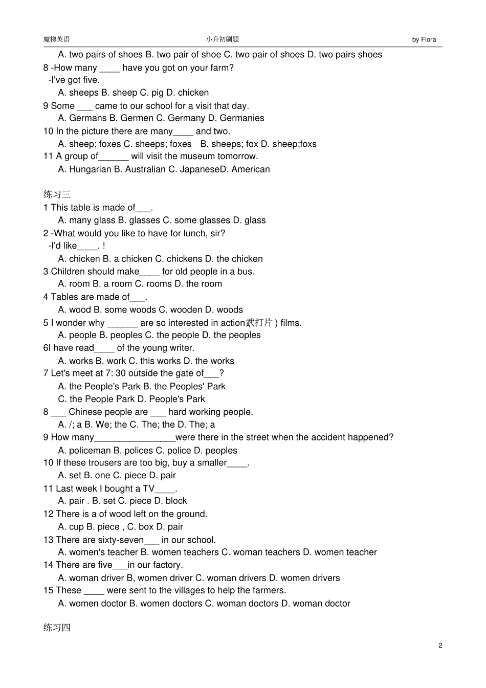 小升初名词专项练习_第2页