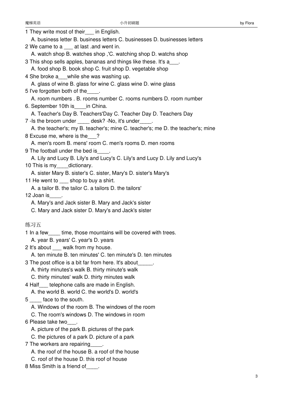 小升初名词专项练习_第3页