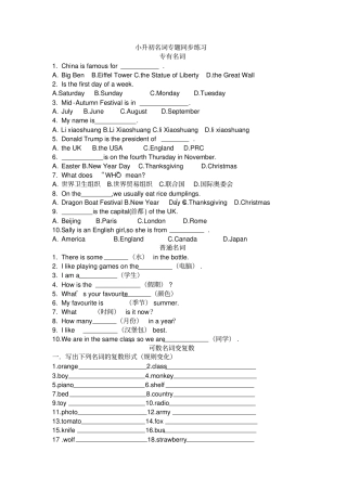 小升初名词专题同步练习