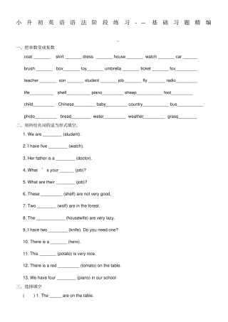 小升初名词冠词代词练习