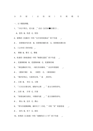 小升初语文专项练习+答案