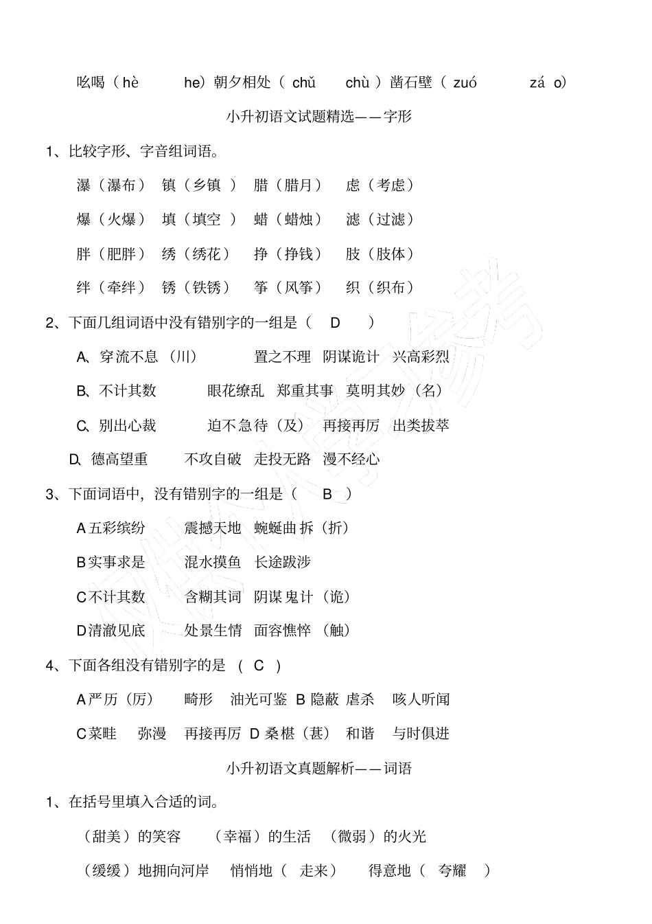 小升初语文基础专项训练答案版_第2页