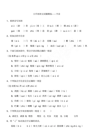 小升初语文基础专项训练答案版