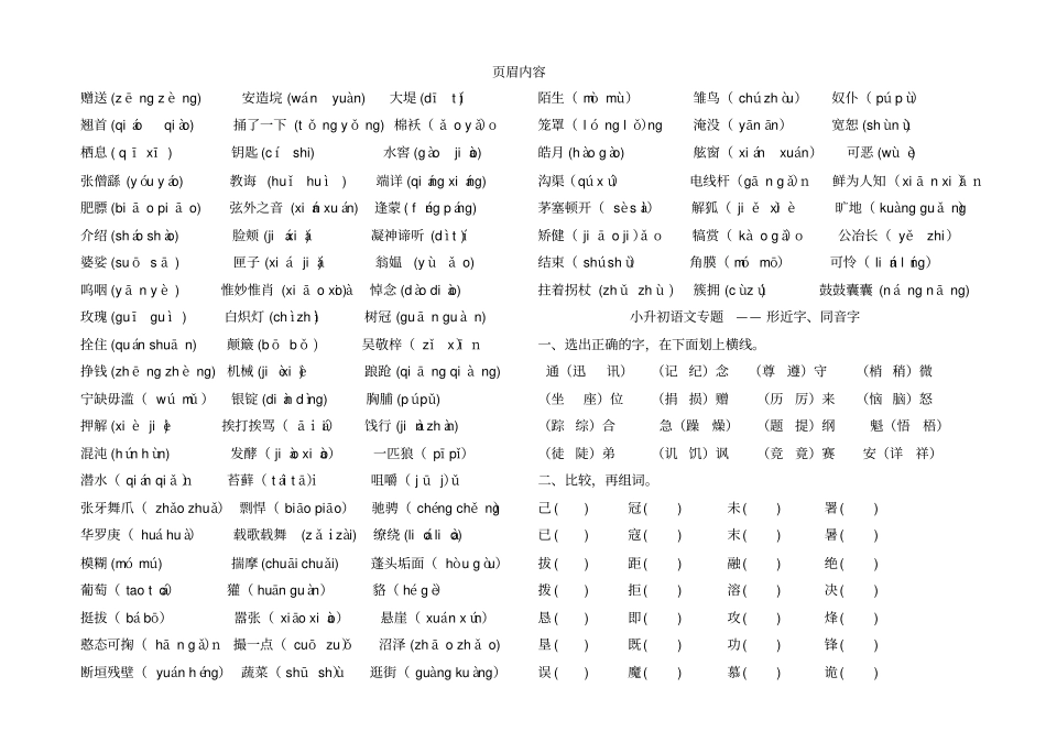 小升初语文基础知识练习_第2页