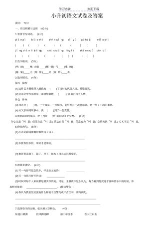 小升初语文试卷及答案