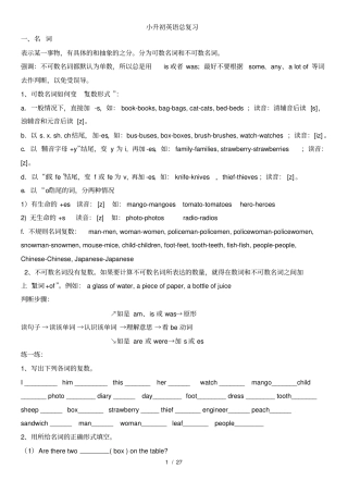 小升初语法复习资料