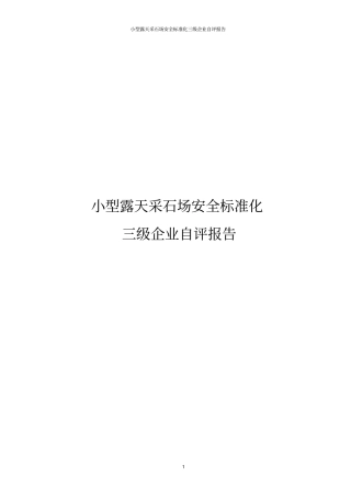 小型露天采石场安全标准化三级企业自评报告