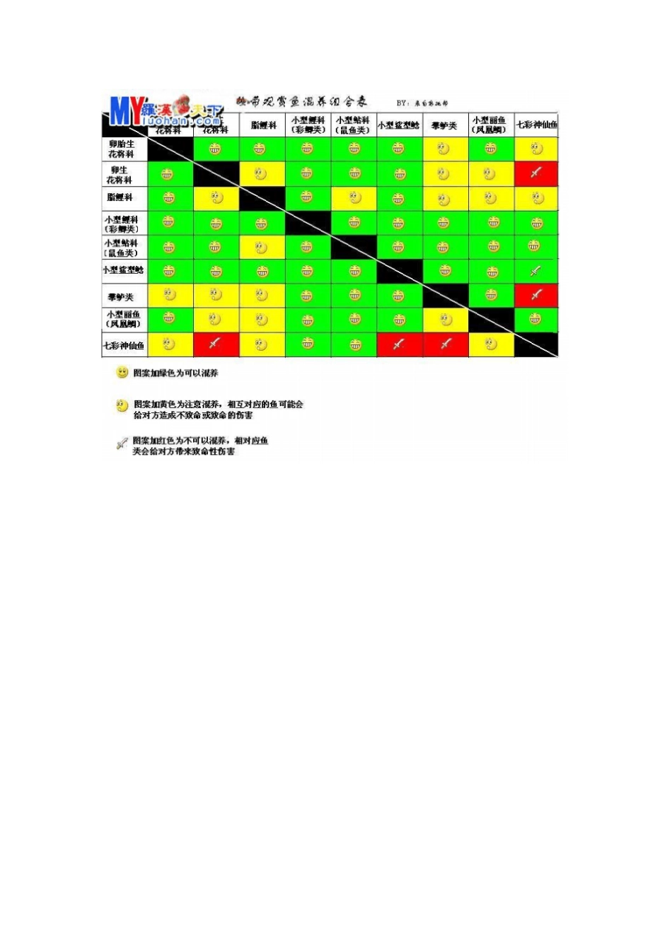 小型鱼混养组合表_第2页