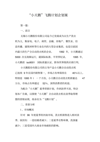 小天鹅飞腾计划企划案