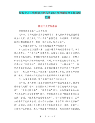 股长个人工作总结与肥东县2024年度新农合工作总结汇编