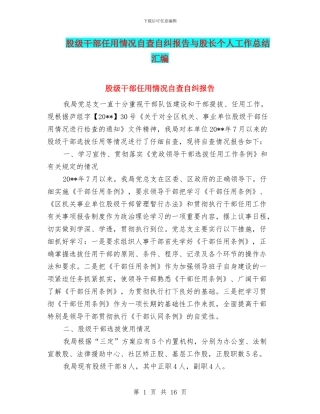 股级干部任用情况自查自纠报告与股长个人工作总结汇编